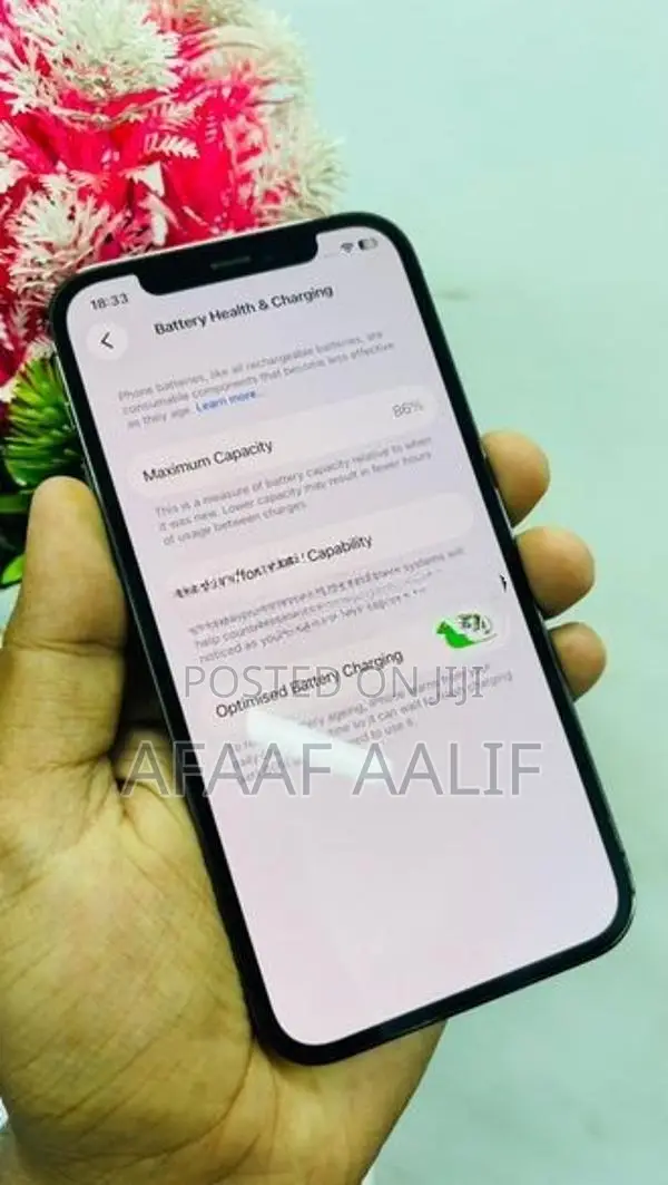 Apple iPhone 12 Pro 256GB (Used)