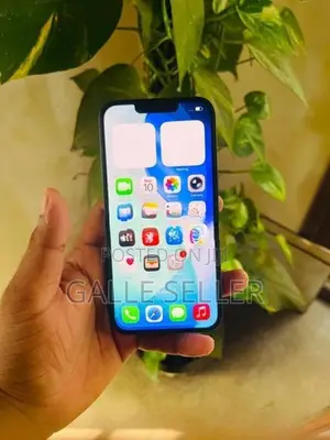 Apple iPhone 13 5G 128gb (Used)