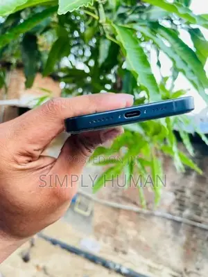 Apple iPhone 15 Pro Max (Used)