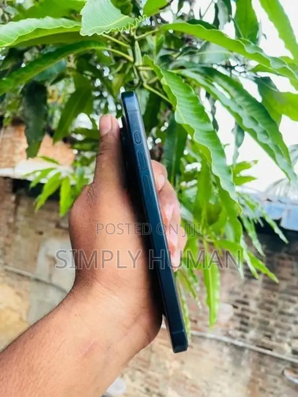 Apple iPhone 15 Pro Max (Used)