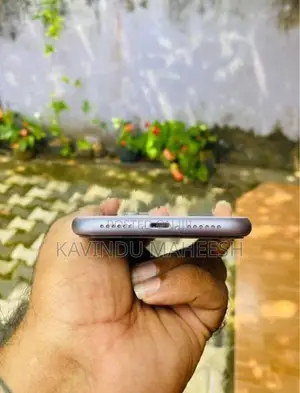 Apple iPhone 11 (Used)