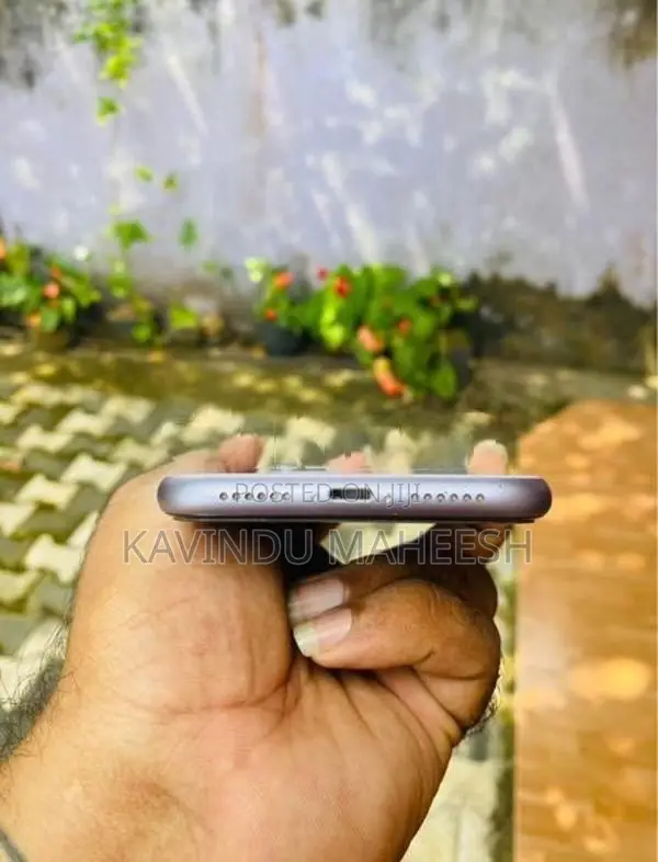 Apple iPhone 11 (Used)