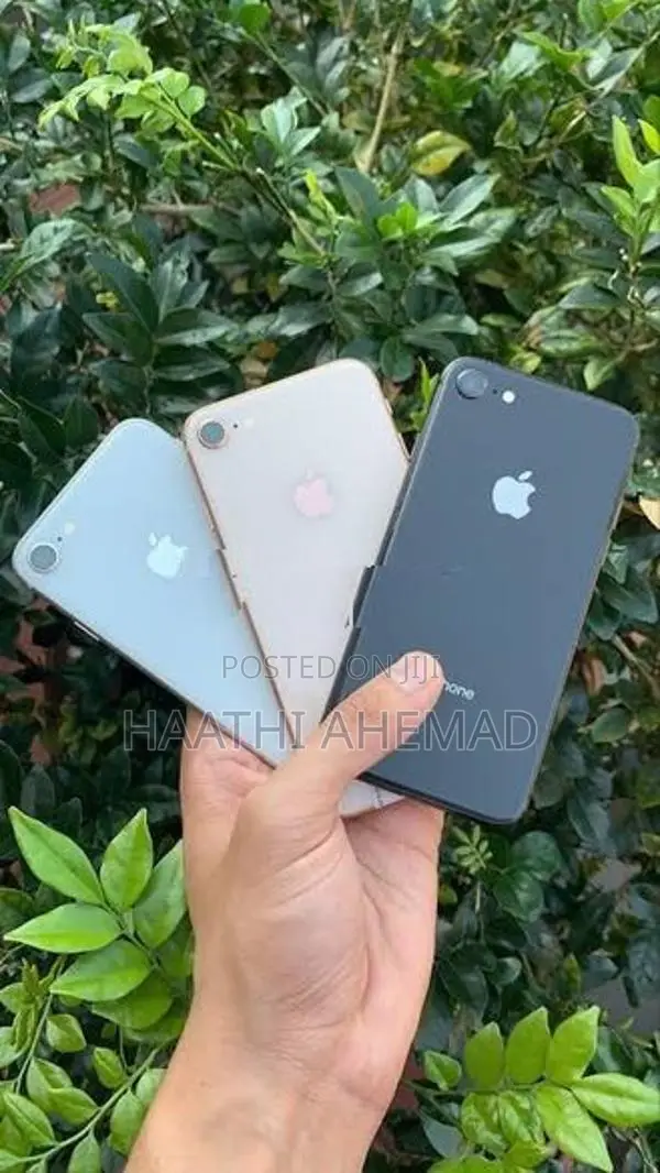 Apple iPhone 8 (Used)