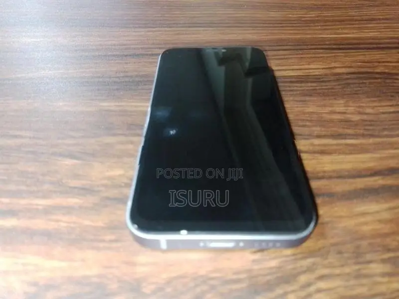 Apple iPhone 12 mini (Used)