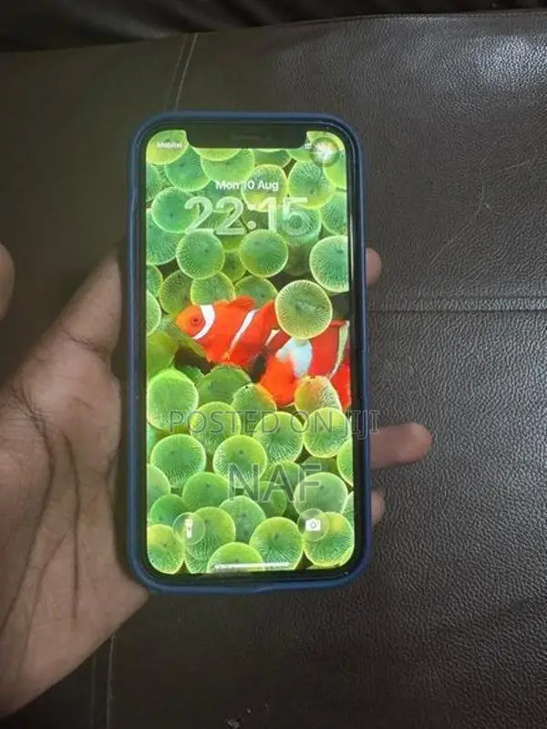 Apple iPhone 12 mini (Used)