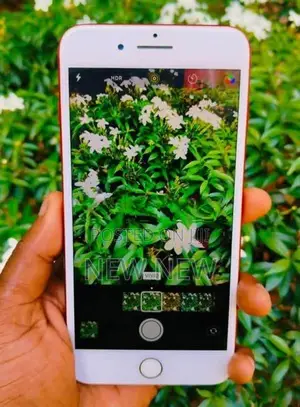 Apple iPhone 7 Plus 128GB (Used)