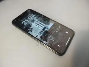 Apple iPhone XS 256GB (Used)