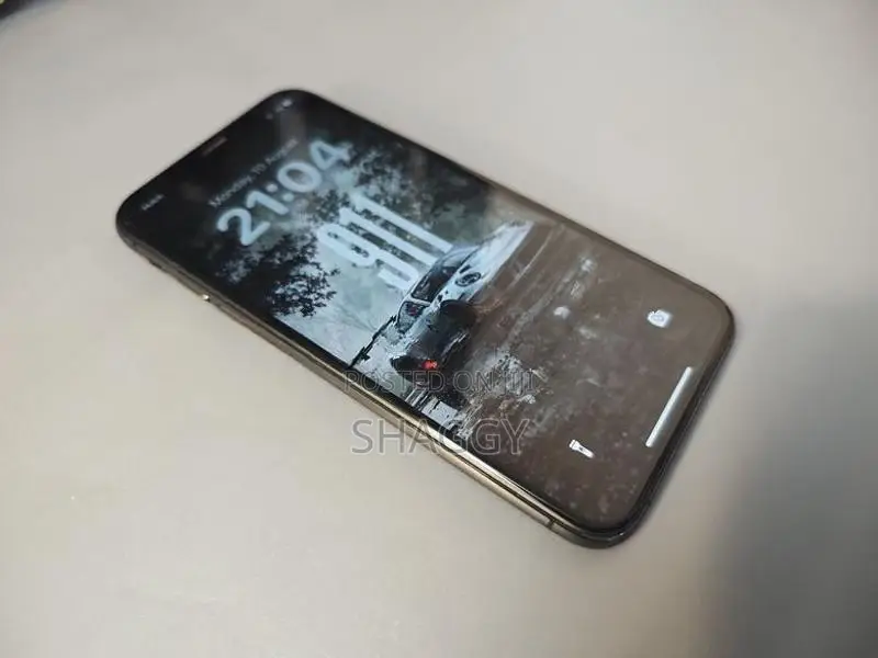 Apple iPhone XS 256GB (Used)
