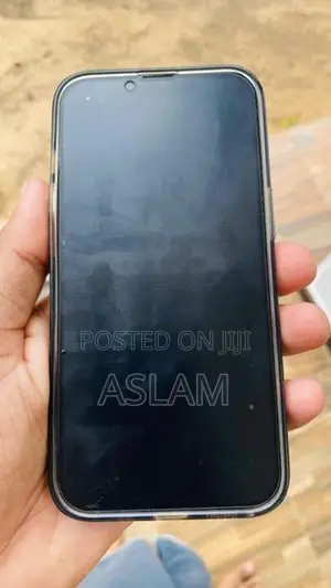 Apple iPhone 13 (Used)