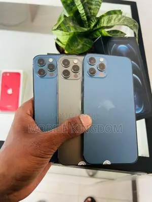 Apple iPhone 12 Pro 256GB (Used)