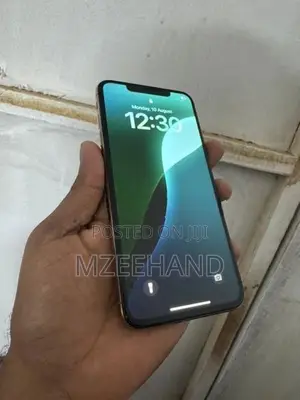 Apple iPhone XS Max 256GB (Used)