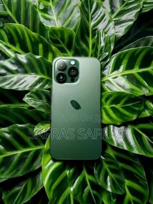 Apple iPhone 13 Pro Max (Used)