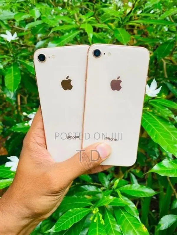 Apple iPhone 8 64/256GB (Used)
