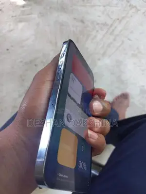 Apple iPhone 13 Pro (Used)