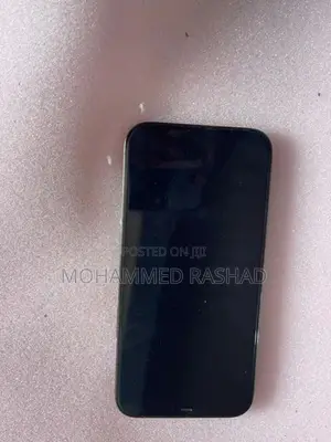 Apple iPhone 12 Pro Max 256 GB (Used)
