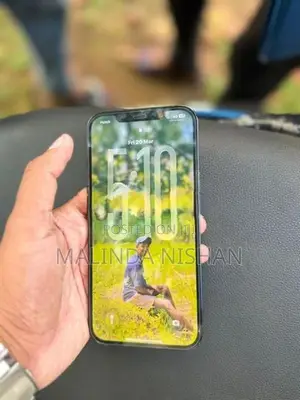 Apple iPhone 12 Pro Max (Used)