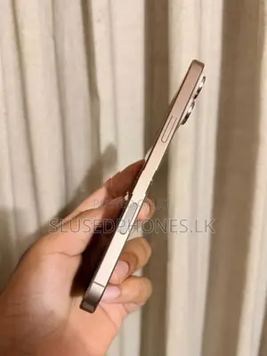 Apple iPhone 16 Pro Max 256GB (Used)