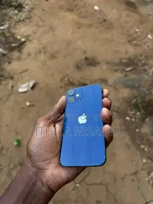 Apple iPhone 12 mini (Used)