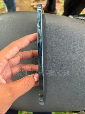 Apple iPhone 12 Pro Max (Used)