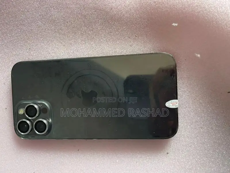 Apple iPhone 12 Pro Max 256 GB (Used)