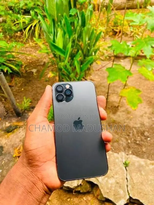 Apple iPhone 12 Pro (Used)