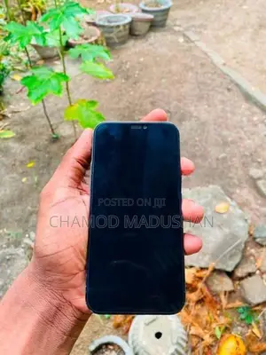 Apple iPhone 12 Pro (Used)