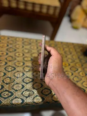 Apple iPhone 16 Pro Max (Used)