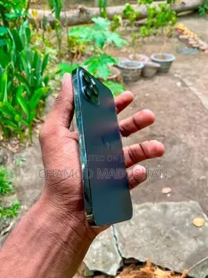 Apple iPhone 12 Pro (Used)