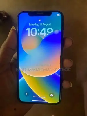 Apple iPhone X 256GB (Used)