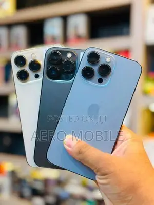 Apple iPhone 13 Pro 256GB (Used)