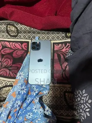 Apple iPhone 12 Pro Max (Used)