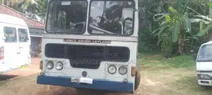 Ashok-Leyland Viking 2010 Bus (Used)