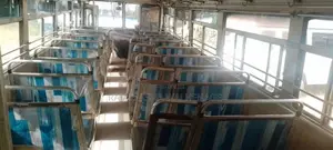 Ashok-Leyland Viking 2010 Bus (Used)