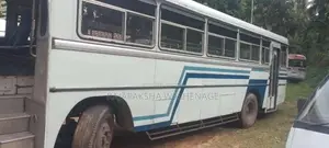 Ashok-Leyland Viking 2010 Bus (Used)