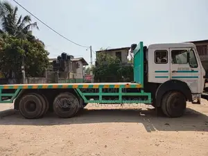 Tata 2518 2010 Lorry (Used)