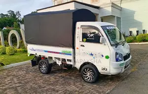 Mahindra Maxximo Plus 2015 Lorry (Used)