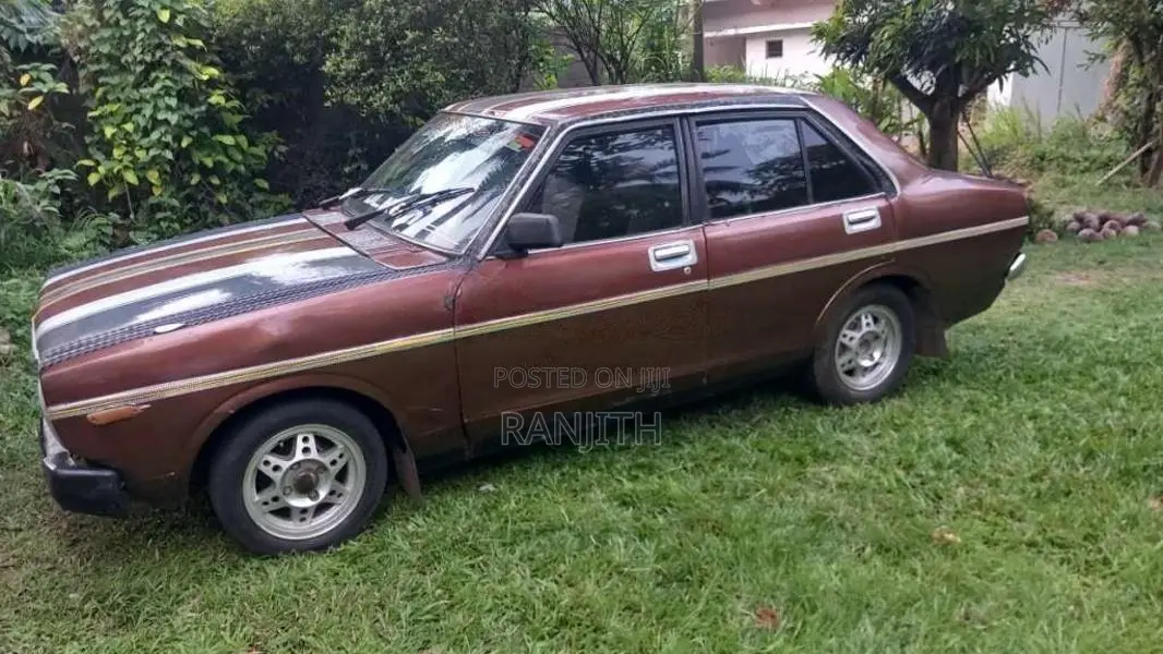 Nissan Sunny HB310 1979 Car (Used)