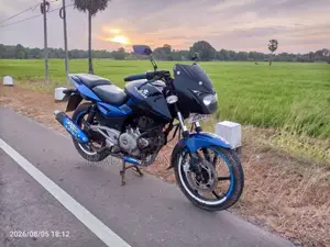 Bajaj Pulsar 2015 Motorbike (Used)