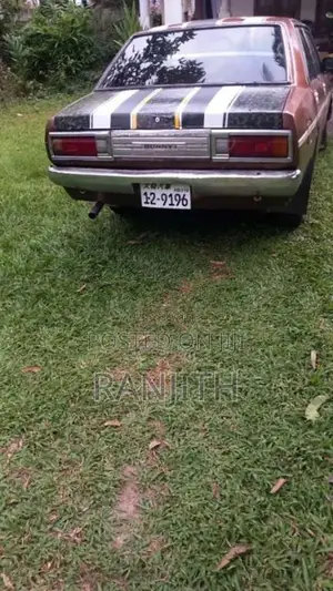 Nissan Sunny HB310 1979 Car (Used)