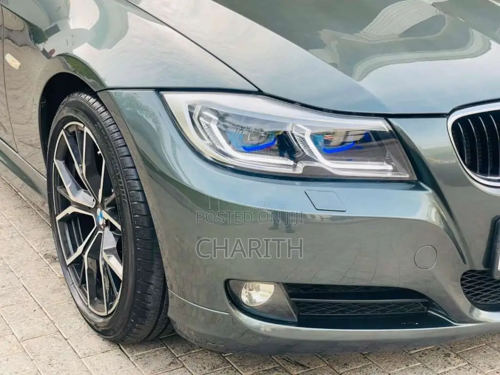 BMW 318i 2011 Car (Used)