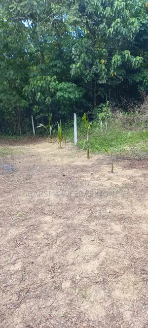 Land for Sale 15 Perches