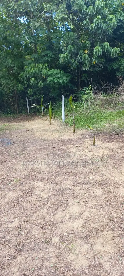 Land for Sale 15 Perches