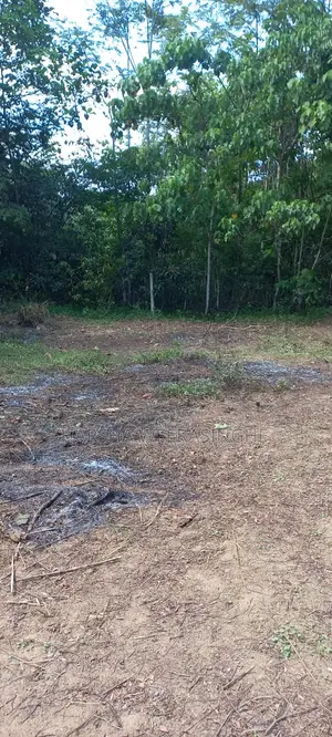 Land for Sale 15 Perches