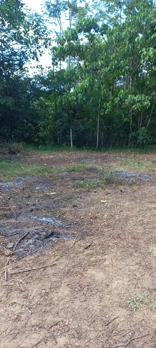 Land for Sale 15 Perches