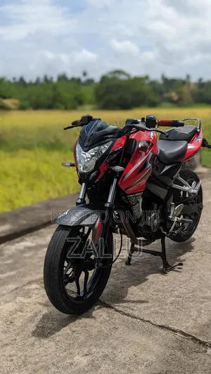Bajaj Pulsar NS 200 2016 Red