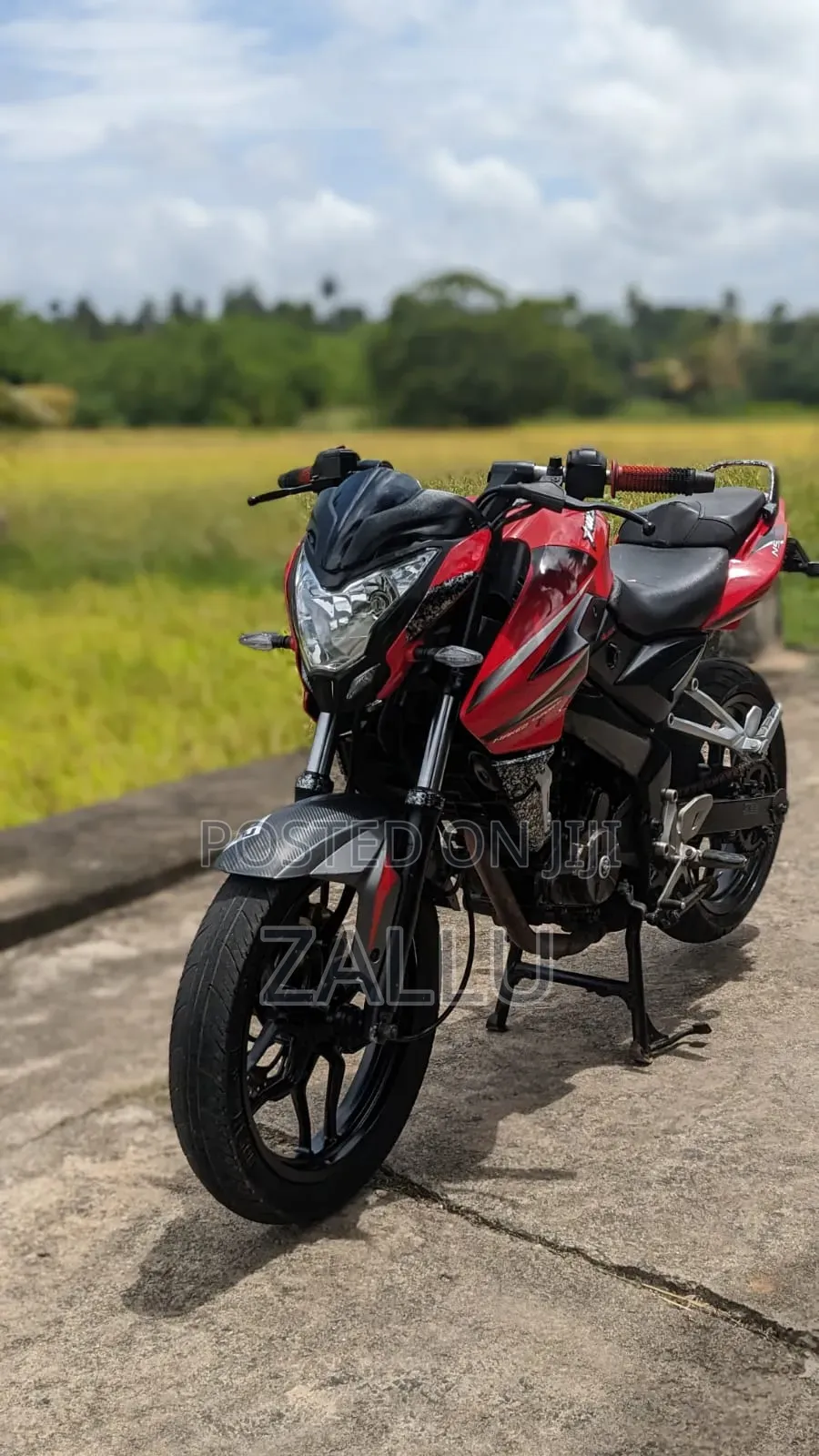 Bajaj Pulsar NS 200 2016 Red