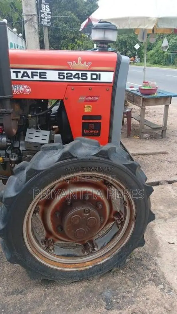 TAFE 45DI 2019 Tractor (Used)