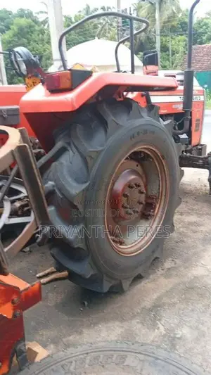 TAFE 45DI 2019 Tractor (Used)