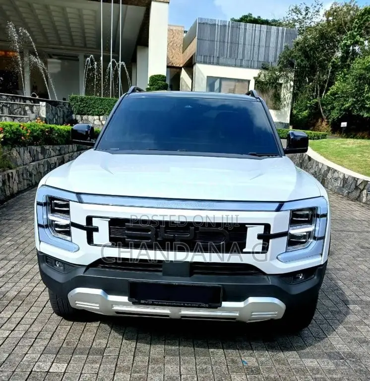 BYD Shark 6 2025 Pickup (Used)