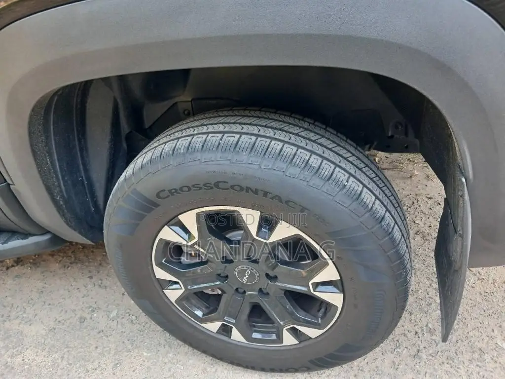 BYD Shark 6 2025 Pickup (Used)